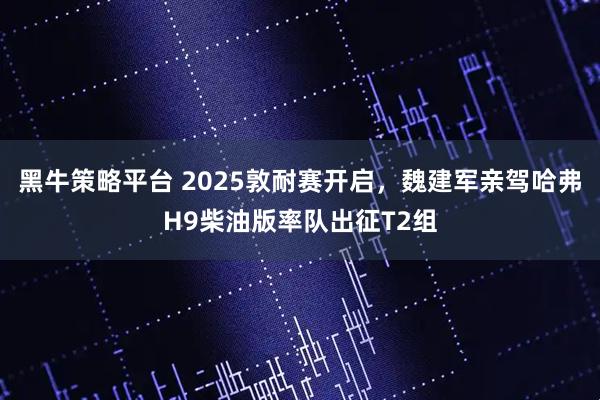 黑牛策略平台 2025敦耐赛开启，魏建军亲驾哈弗H9柴油版率队出征T2组